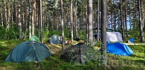 Куда поехать с палатками в Ленинградской области 2024: сосновые леса и закаты на Финском заливе